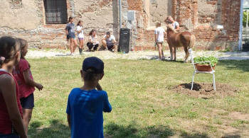 Fotografija galerije