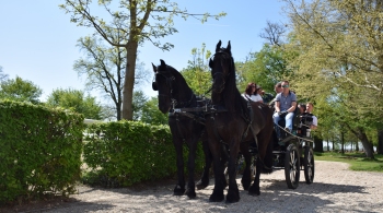 Predstavitveni dogodek projekta Horse Based Tourism – HBT